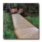 nethy bridge community woodland thumb